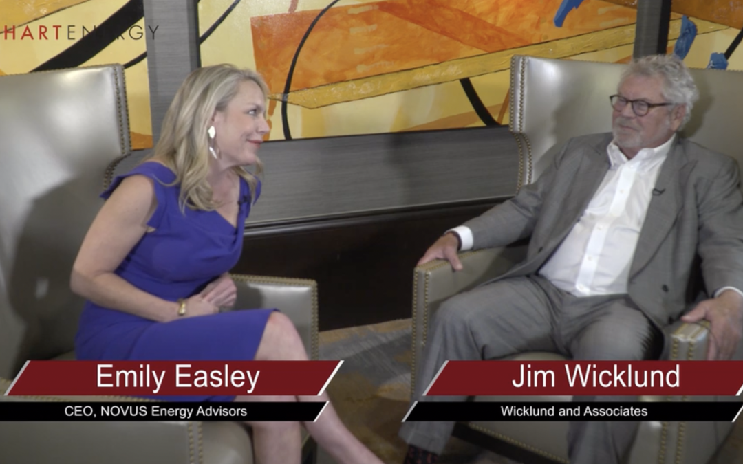 NOVUS Energy Advisors | Growth Opportunities for Service Companies through ESG Solutions