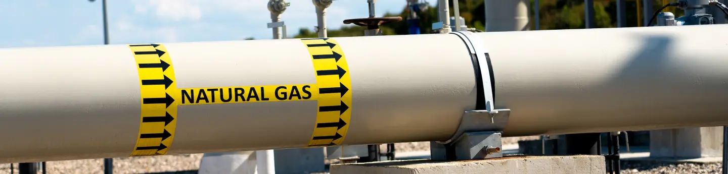 NOVUS Energy Advisors | insights