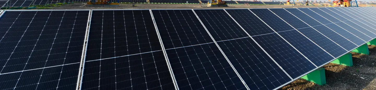 service-banner NOVUS Energy Advisors | Services