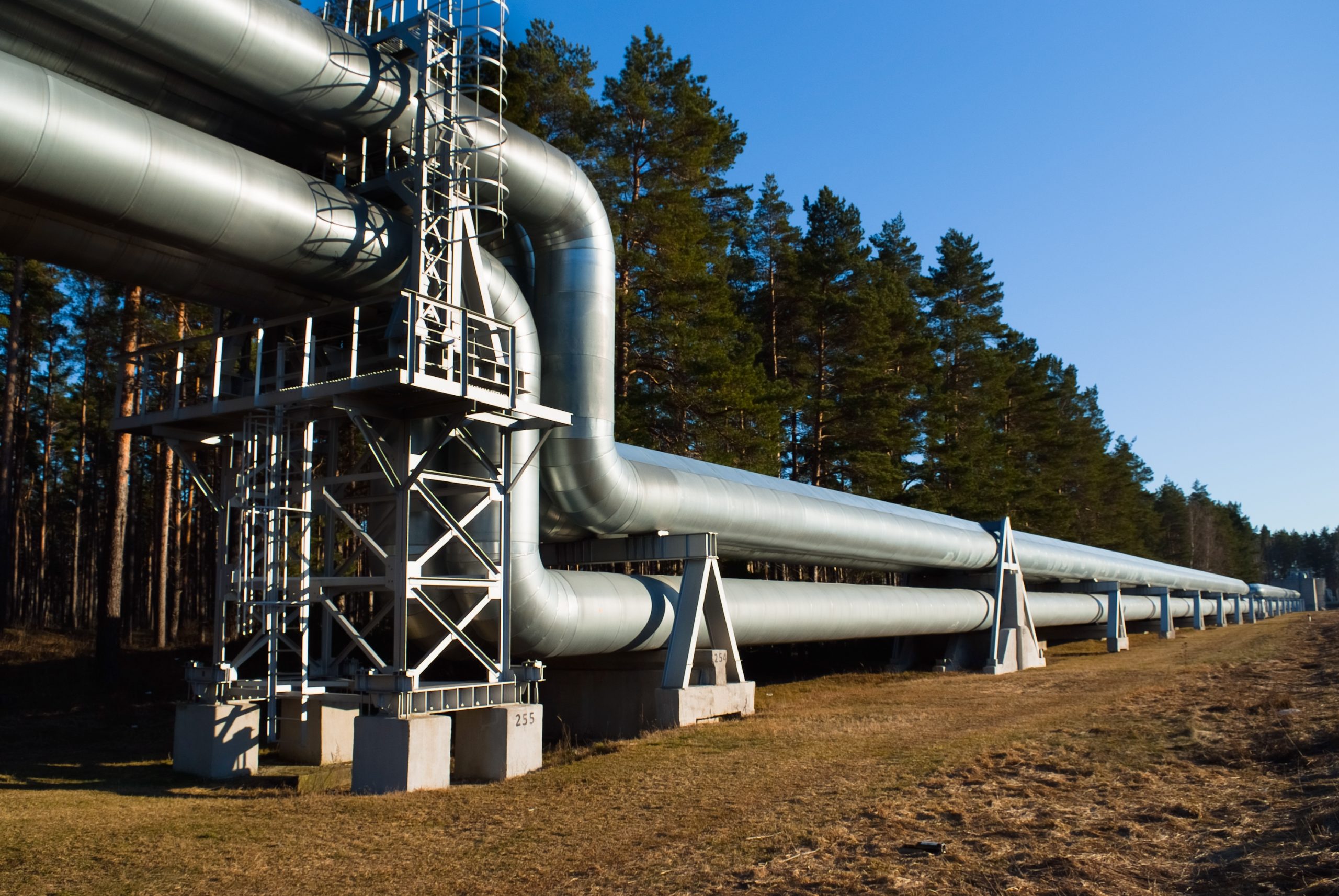 NOVUS Energy Advisors | Case Studies